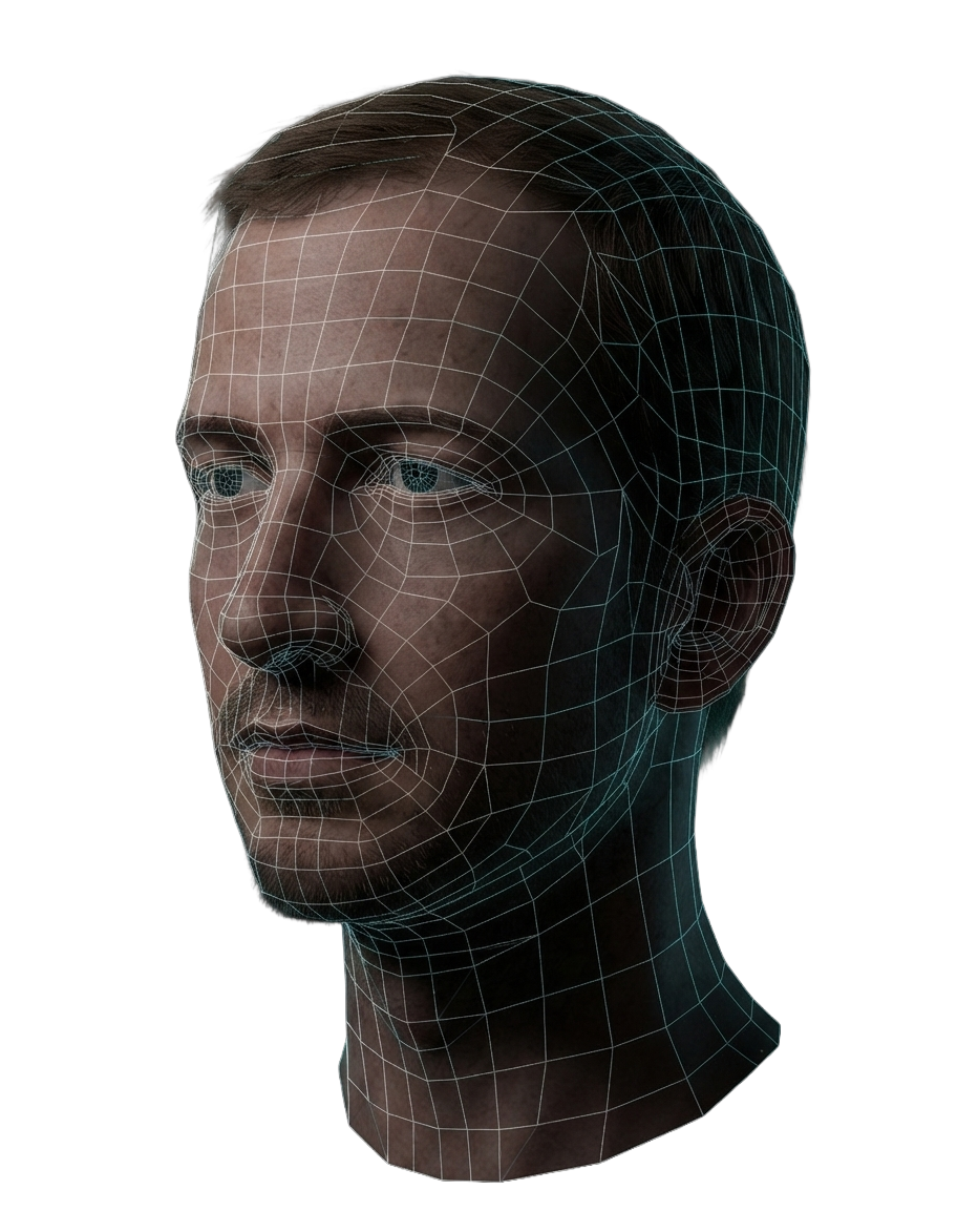 3D wireframe head